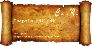 Csepela Máté névjegykártya
