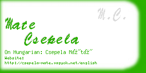 mate csepela business card